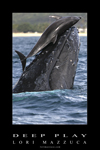 Deep Play - 24x36 Poster