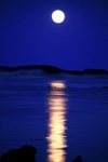 Kodiak Moonrise